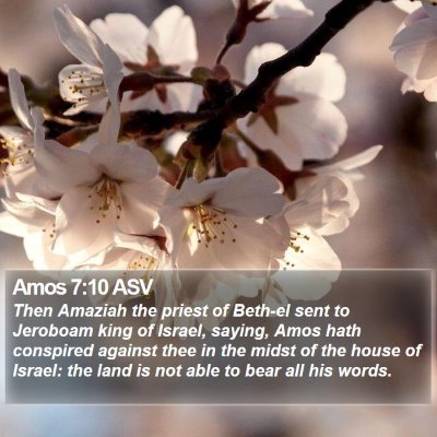 Amos 7:10 ASV Bible Verse Image