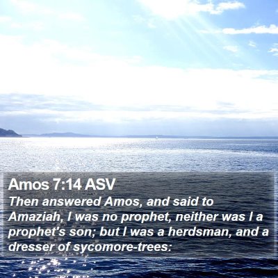 Amos 7:14 ASV Bible Verse Image