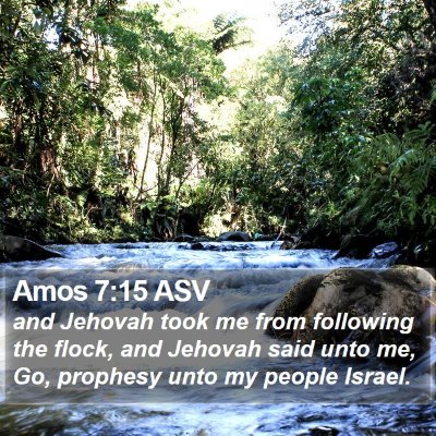 Amos 7:15 ASV Bible Verse Image