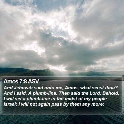 Amos 7:8 ASV Bible Verse Image