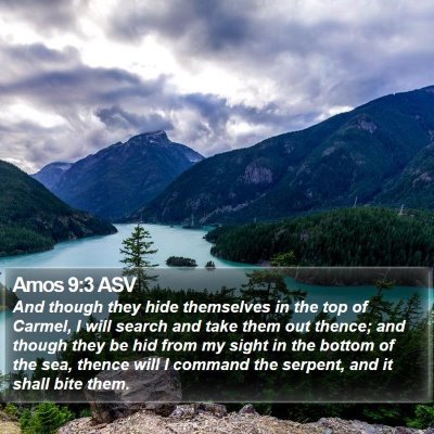 Amos 9:3 ASV Bible Verse Image