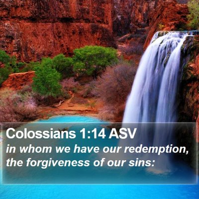 Colossians 1:14 ASV Bible Verse Image