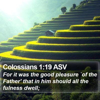 Colossians 1:19 ASV Bible Verse Image