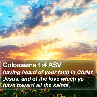 Colossians 1:4 ASV Bible Verse Image