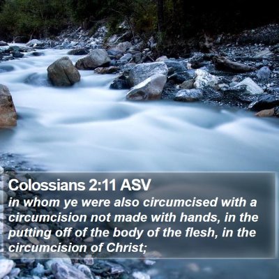 Colossians 2:11 ASV Bible Verse Image