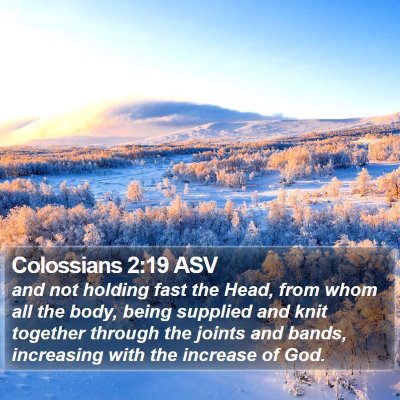 Colossians 2:19 ASV Bible Verse Image