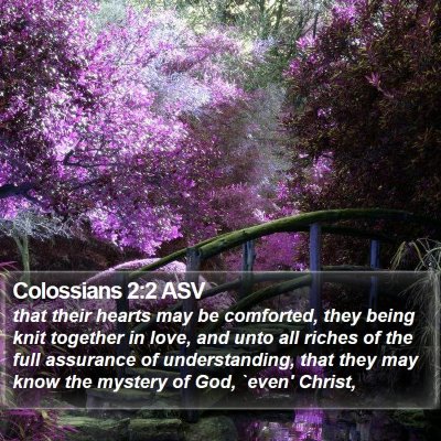 Colossians 2:2 ASV Bible Verse Image