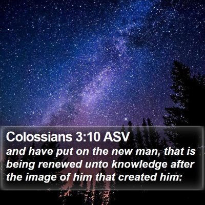 Colossians 3:10 ASV Bible Verse Image