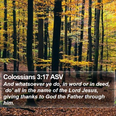 Colossians 3:17 ASV Bible Verse Image