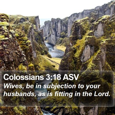 Colossians 3:18 ASV Bible Verse Image