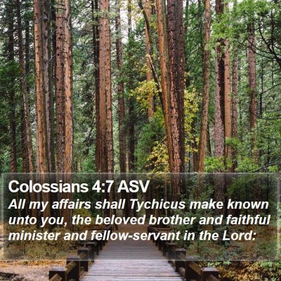 Colossians 4:7 ASV Bible Verse Image