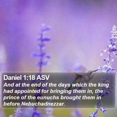 Daniel 1:18 ASV Bible Verse Image