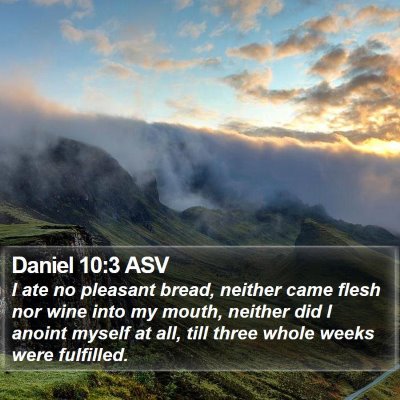 Daniel 10:3 ASV Bible Verse Image
