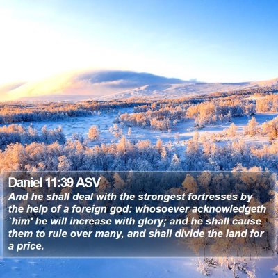 Daniel 11:39 ASV Bible Verse Image