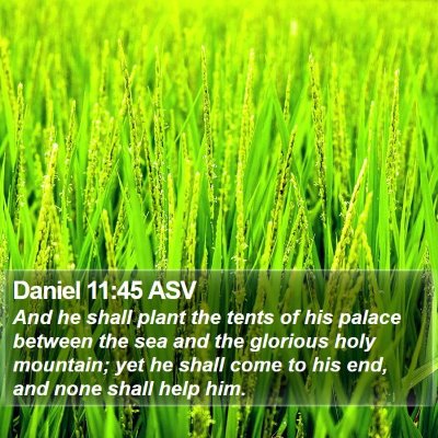 Daniel 11:45 ASV Bible Verse Image
