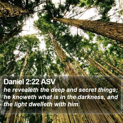 Daniel 2:22 ASV Bible Verse Image
