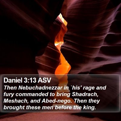 Daniel 3:13 ASV Bible Verse Image