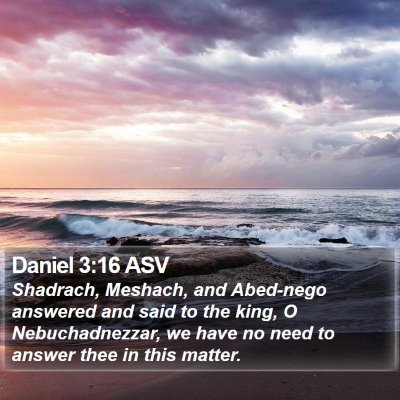 Daniel 3:16 ASV Bible Verse Image