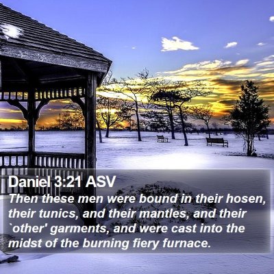 Daniel 3:21 ASV Bible Verse Image
