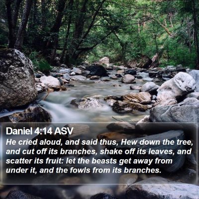 Daniel 4:14 ASV Bible Verse Image