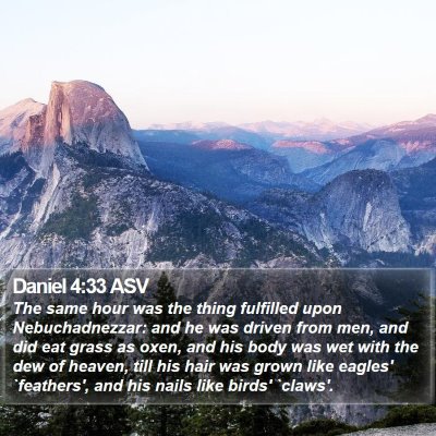 Daniel 4:33 ASV Bible Verse Image