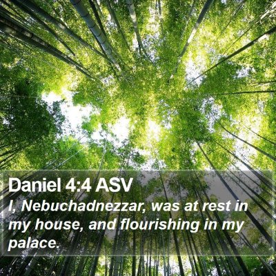 Daniel 4:4 ASV Bible Verse Image