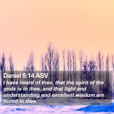 Daniel 5:14 ASV Bible Verse Image