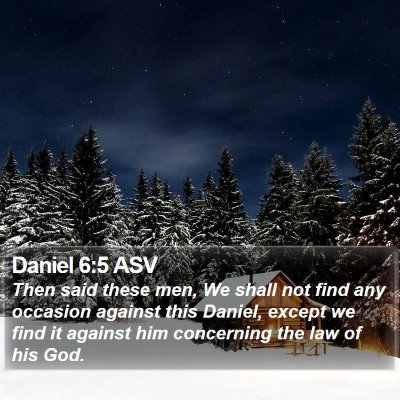 Daniel 6:5 ASV Bible Verse Image