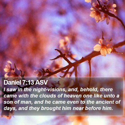 Daniel 7:13 ASV Bible Verse Image