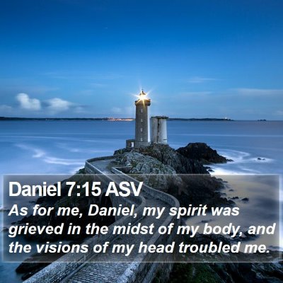 Daniel 7:15 ASV Bible Verse Image
