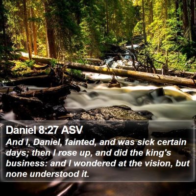 Daniel 8:27 ASV Bible Verse Image