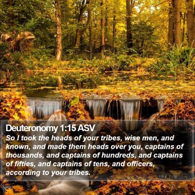 Deuteronomy 1:15 ASV Bible Verse Image