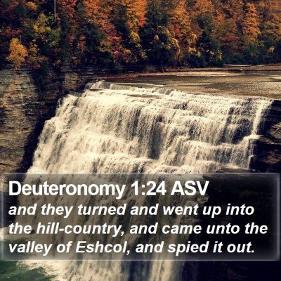 Deuteronomy 1:24 ASV Bible Verse Image