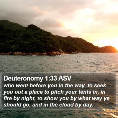 Deuteronomy 1:33 ASV Bible Verse Image