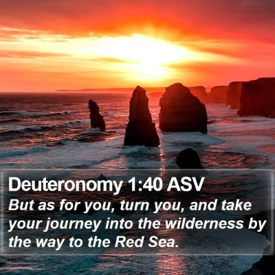 Deuteronomy 1:40 ASV Bible Verse Image