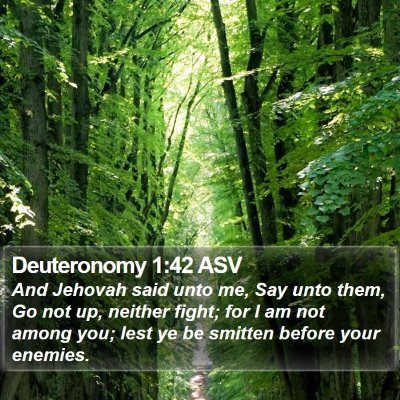 Deuteronomy 1:42 ASV Bible Verse Image