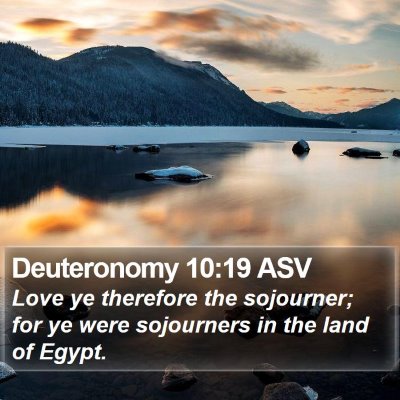 Deuteronomy 10:19 ASV Bible Verse Image