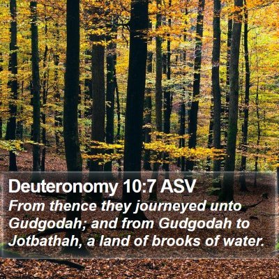 Deuteronomy 10:7 ASV Bible Verse Image