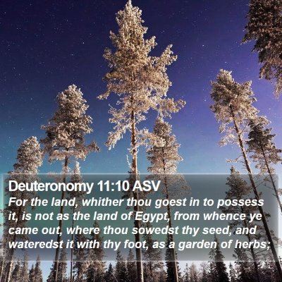 Deuteronomy 11:10 ASV Bible Verse Image