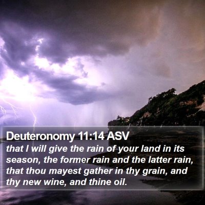 Deuteronomy 11:14 ASV Bible Verse Image