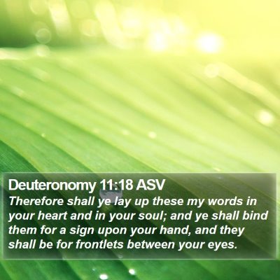 Deuteronomy 11:18 ASV Bible Verse Image