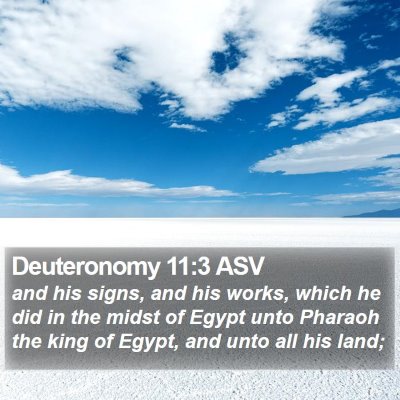 Deuteronomy 11:3 ASV Bible Verse Image