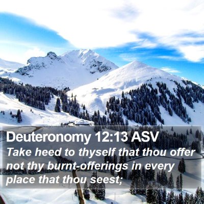 Deuteronomy 12:13 ASV Bible Verse Image