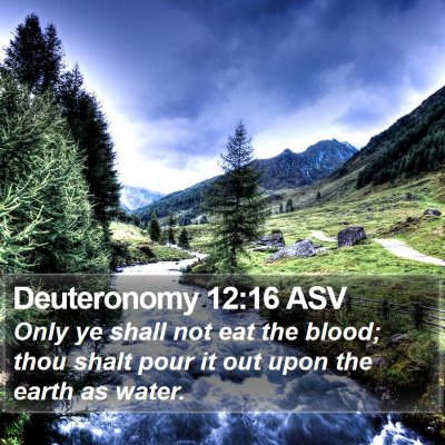 Deuteronomy 12:16 ASV Bible Verse Image