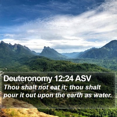 Deuteronomy 12:24 ASV Bible Verse Image