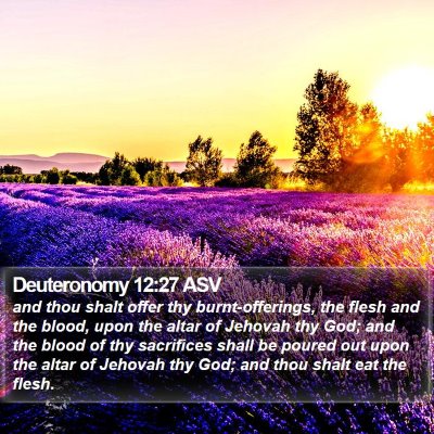 Deuteronomy 12:27 ASV Bible Verse Image