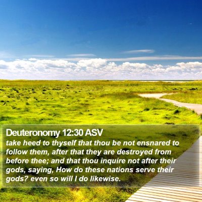 Deuteronomy 12:30 ASV Bible Verse Image
