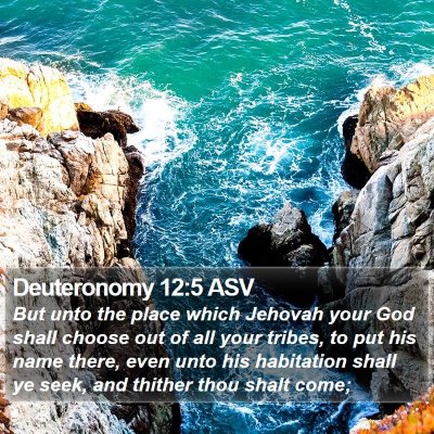 Deuteronomy 12:5 ASV Bible Verse Image