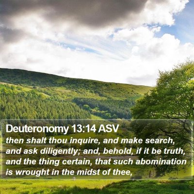 Deuteronomy 13:14 ASV Bible Verse Image