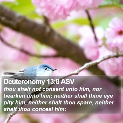 Deuteronomy 13:8 ASV Bible Verse Image